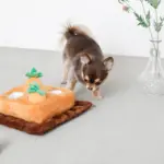 ノーズワーク4つのにんじん畑のおもちゃ - Image 2