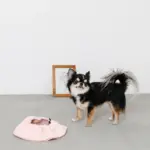 ノーズワーク2wayマット - Image 10