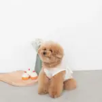 シリコンカップケーキ - Image 4