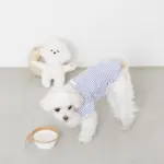 白いイヌさん - Image 3