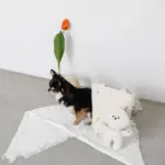 白いイヌさん - Image 7