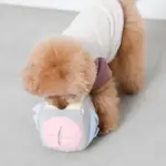 ノーズワークサイコロボール - Image 5