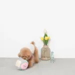 ノーズワークサイコロボール - Image 7