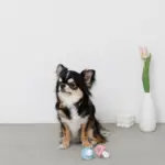 手編みのおしゃぶりおもちゃ - Image 3