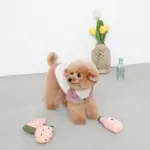 ピンクのイチゴのおもちゃ - Image 3