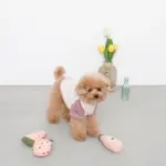 ピンクのイチゴのおもちゃ - Image 4