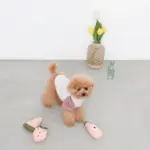 ピンクのスイカのおもちゃ - Image 2