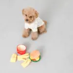 ハンバーガーとポテトのおもちゃ - Image 2