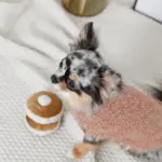 ノーズワークホットケーキ - Image 7