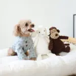 コーデュロイのひつじさん - Image 2