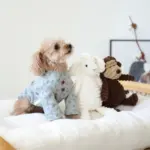 コーデュロイのひつじさん - Image 4