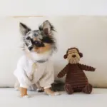 コーデュロイのサルさん - Image 2