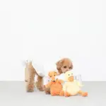 コーデュロイのアヒルさん - Image 3