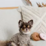 ドーナツおもちゃ - Image 2