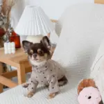 ドーナツおもちゃ - Image 5