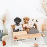 ドーナツおもちゃ - Image 8