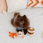 ちいさなキツネさん - Image 4