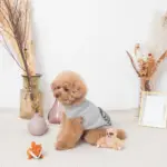 ちいさなキツネさん - Image 5