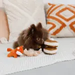 ちいさなキツネさん - Image 7