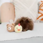 手編みコットンアニマルトイ - Image 6