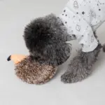 はりねずみさん - Image 4