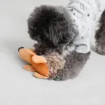 はりねずみさん - Image 5