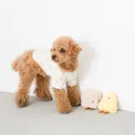 チーズちゃん - Image 3