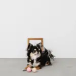 ノーズワークシリコンミニボール - Image 3