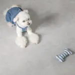 ギンガムチェックボーン - Image 5