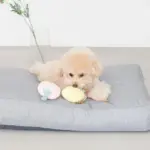 イチゴとパインのおもちゃ - Image 2