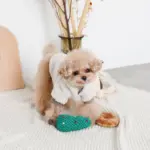 ツリーとトナカイ - Image 6