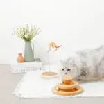 キャットパンチングおもちゃ - Image 5