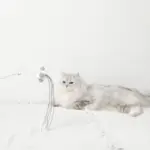 ポンポン付スエードリボンねこじゃらし - Image 2