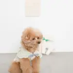 ネックリボンバンビさん - Image 5