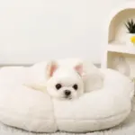 フラワーファークッションベッド - Image 3