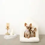 ナチュラル小窓付きコーデュロイペットハウス - Image 6