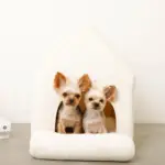 ナチュラル小窓付きコーデュロイペットハウス - Image 9