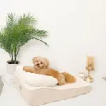 低反発まくら付きスロープクッションベッド - Image 3