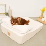 低反発まくら付きスロープクッションベッド - Image 9