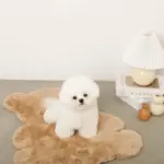 くまさんファーマット - Image 6