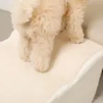 ファースエードスローステップ階段 - Image 8