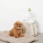 3wayクッションベッド - Image 9