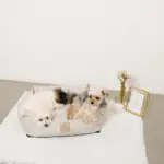 ギンガムチェッククッションベッド - Image 6