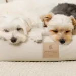 防汚加工シンプルクッションベッド - Image 4