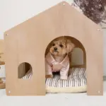 室内用ストライプペットハウス クッション付 - Image 5