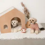 室内用ストライプペットハウス クッション付 - Image 7