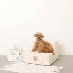 エコレザー階段 - Image 4