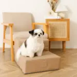 エコレザー階段 - Image 5