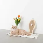 さかな型壁掛け爪とぎマット - Image 5