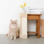 柱コーナー爪とぎ - Image 3